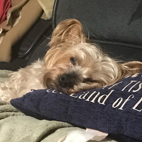 Meet your Posher, Elizabeth - Picture 11 of 15